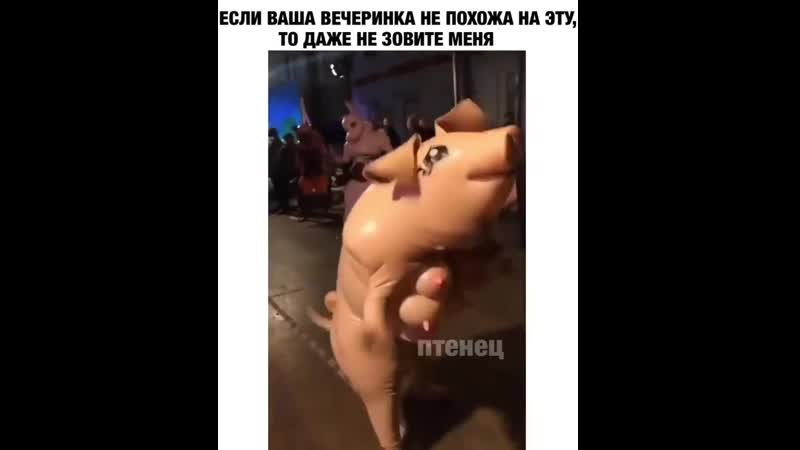 Анимация на вечеринке у веганов 😂