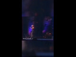 Wild butterfly jn 20200508 111307 0 mp4