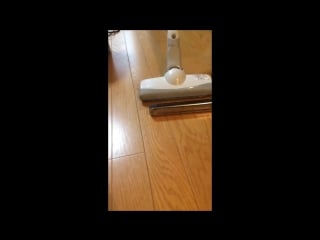 A vacuum cleaner meets a harmonica in japan