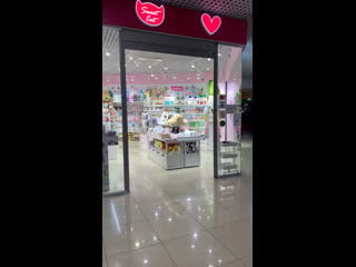 Live sweet cat shop великий новгород !