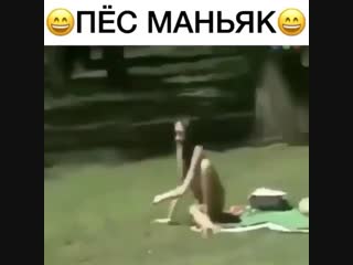 Видео от жозефины богарне