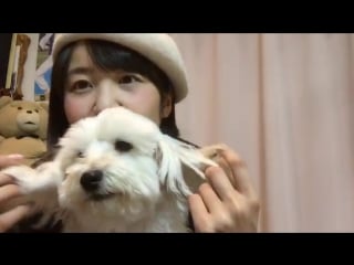 20170117 showroom soda sarina