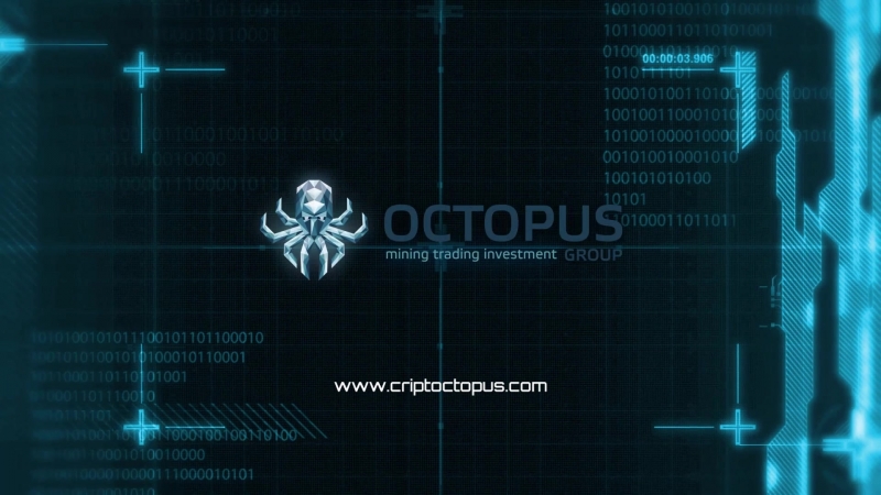 Octopus porn video – Интро логотипа for octopus group
