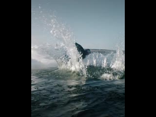 Kamaz x wake by nikita martyanov