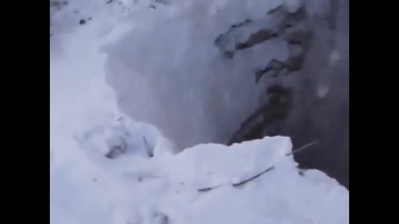 Спасение росомахи