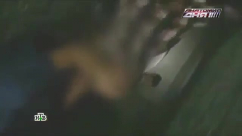 Молодые cтудентами мади девушка танцевала на вечеринке топлес