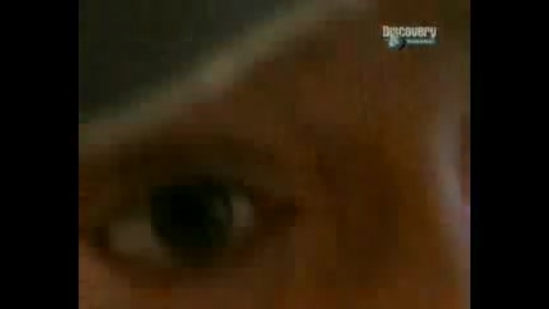 Генетическое сексуальное влечение