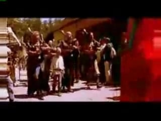 Tanzwut corvus corax