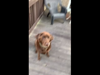 Ryan clements | @ryanclements