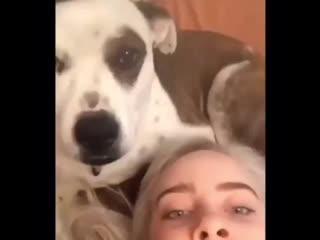 Billie so funny 1 29042019 0420 mp4