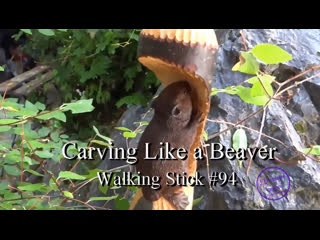 Mike stinnett carves a wood beaver walking stick using hand tools