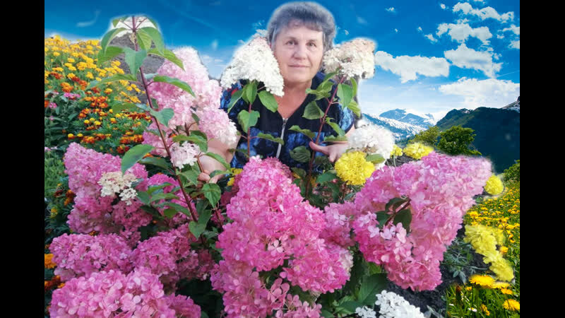 Моя соточка