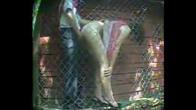 Выпускники porn video – Выпускники