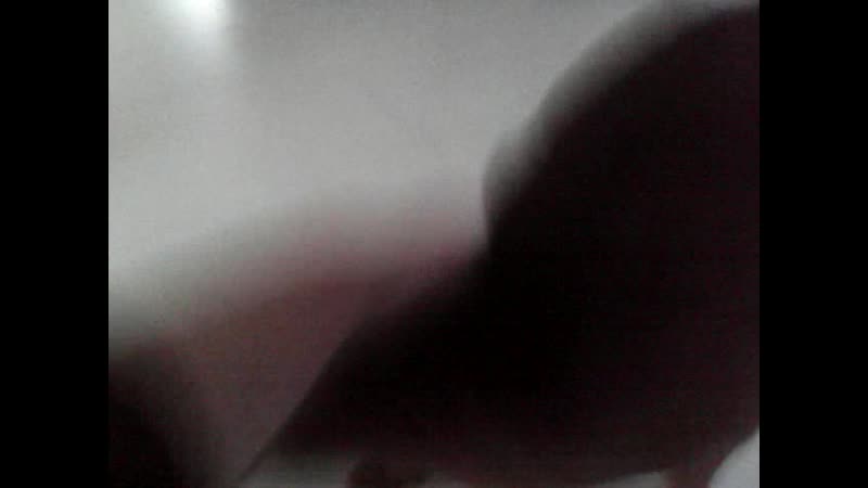 Лёва вещает)