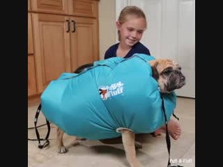 Dog dryer by puff n fluff