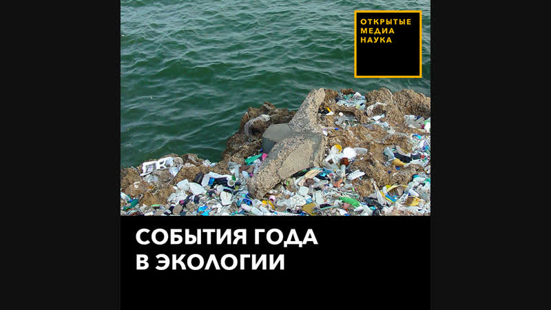 Пластмассовый мир победил