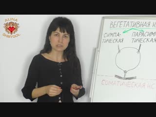 Упражнения кегеля что будет, если прерывать мочеиспускание