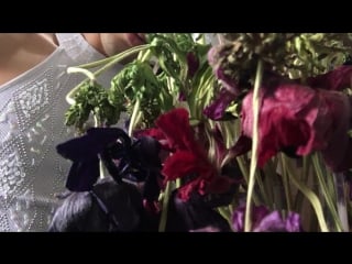 I am extremely excited to share with you that arca is going to join me for mexican festival ceremonia