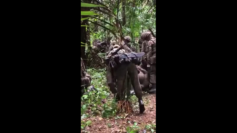 Центр сварог полевая практика вмп