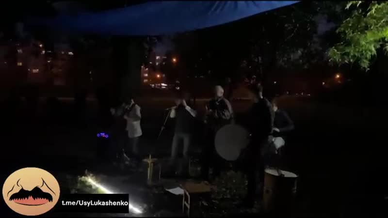 Стары ольса на чыжоўцы