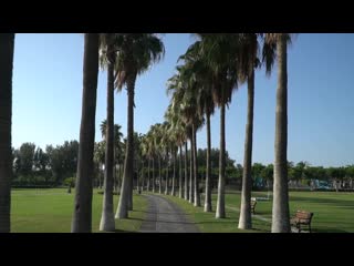 Lara barut collection