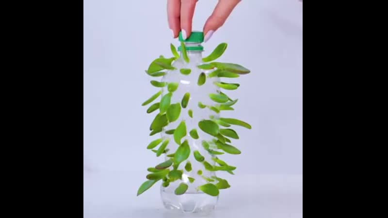 Полезные советы от летней кафешки