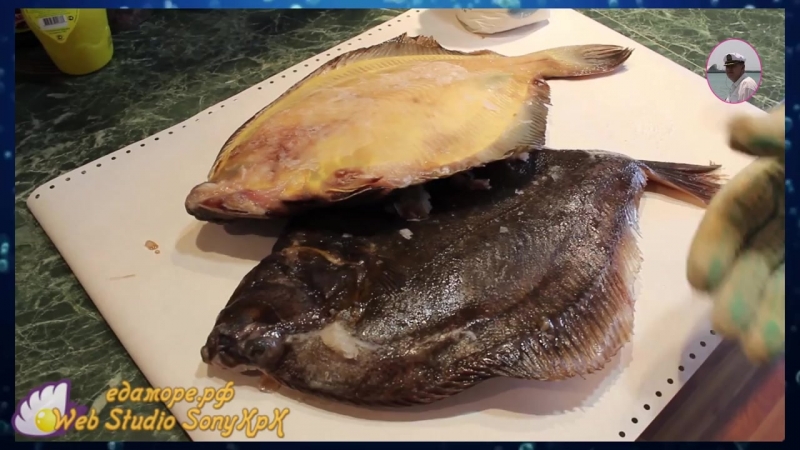 Как завялить камбалу