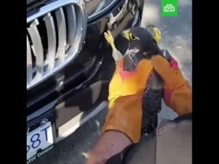 Не пожалел бэху