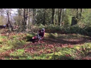 Carson brown and honda 50cc