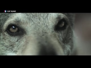 Francisca feat f charm drum de piatra