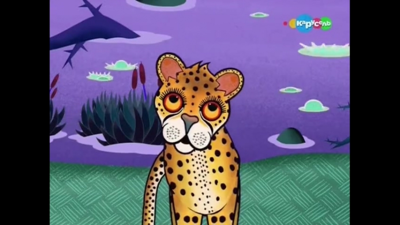 52 почему у гепарда следы от слёз тинга тинга страна африканских мифов
