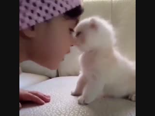 Ребятки и котятки