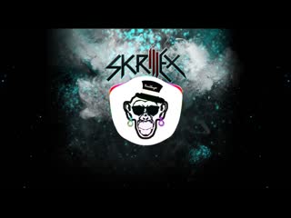Skrillex & porn machine killa ft elliphant [neurofunk remix]