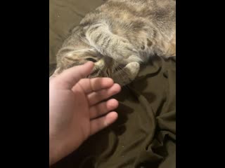 My 20 Year Old Girl~ (who Is Aged Than Me Lol)