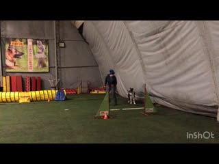 Майо тренироа в манеже после долгого перерыва 30 01 2021