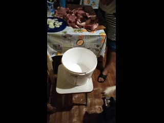 Vid 20191002 002403 mp4