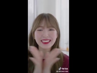 귀염뽀짝 웬디와 함께 해요! 틱톡 샤크립송 웬디 샤크립송 레드벨벳 아이린 예리 조이 슬기 redvelvet tiktok tiktokkr 틱톡 틱톡앱 틱톡코리아