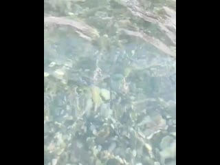 Пляж санатория аврора в г сочи