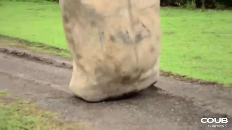 Передвижение статуи (vhs video)