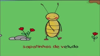 A barata diz que tem