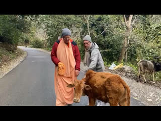 Утренняя прогулка в ришикеше