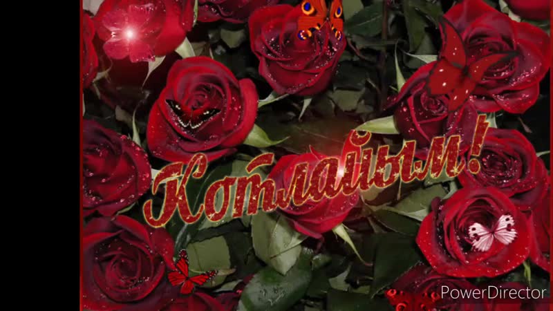 Зөлфиә hd 720p mp4