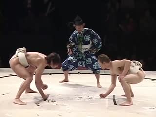 Kota ibushi vs shinobu sumo