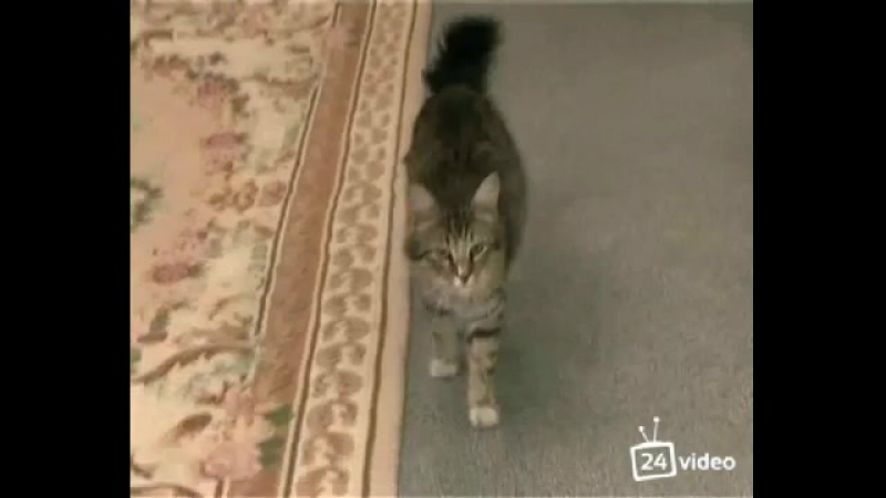 Рита porn video – Рита и настя