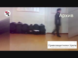 +18 новичков в колонии молодые черенком