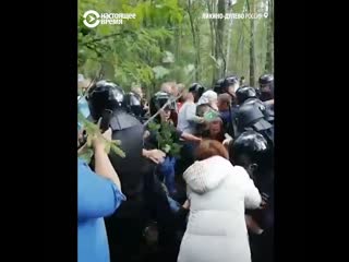 Протесты против вырубки леса под мусороперерабатывающий завод