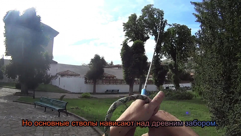 Кронирование каштанов большими частями в ханском дворце