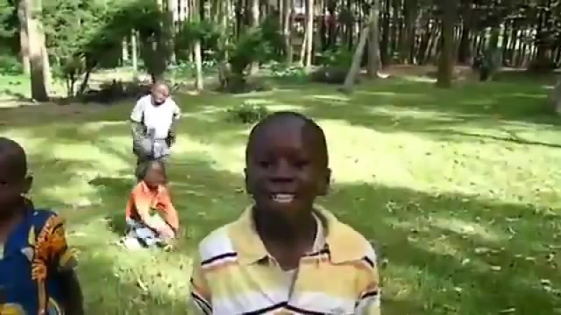 Ебать коней ебать