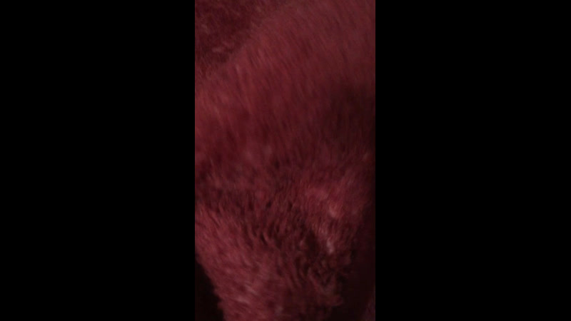 Большой плед после стирки