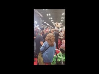 Chloe bennet [nycc 2017]